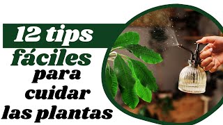 12 tips fáciles para el cuidado de las plantas  #plantas #cuidadodeplantas #tips #viral #video