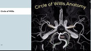 MASTERING ANGIOGRAMS FOR FRCR-1-PART 2