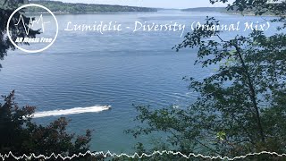 Lumidelic - Diversity (Original Mix)