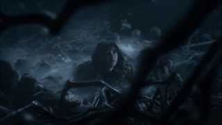 Three Eyed Raven and Bran - Game of Thrones S4E10