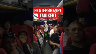 Екатеринбург Ташкент мусофирлар автобуси люкс #ташкент #узбекистан #мусофир #uzbekistan