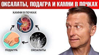 Подагра и камни в почках 👉 как решить проблему с оксалатами?