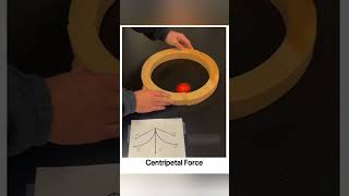 Which Path Ball Choose Centripetal Acceleration #ytshorts #shorts