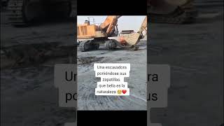 La naturaleza 🥺🤣by ( ._tohruu en tiktok)