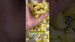 Macaroni Production Line | Macaroni production line | #pastamachine  | macaroni plant in Punjab