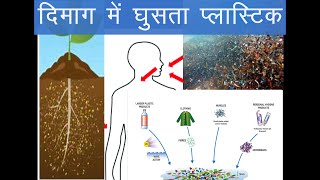 दिमाग में जमा होता प्लास्टिक |खून में अब प्लास्टिक |#microplastic #human body #mind