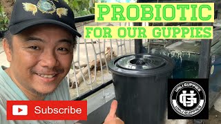 MAGTIMPLA TAYO PROBIOTIC PARA SA GUPPIES (HD) | V0492