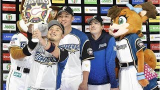 日職》開季首月各隊大評比！ 日媒選出火腿隊MVP