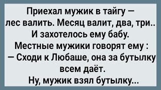 Как Мужик в Тайге к Любаше Ходил! Сборник Свежих анекдотов! Юмор!