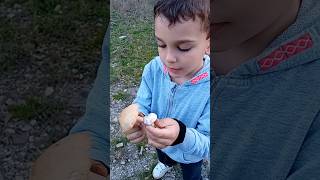 Funghi Prugnoli 2024 "Baby Tutorial" 🍄‍🟫 #NaturaWild #FunghiPrugnoli2024 #Calocybegambosa2024