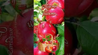 19 августа. Доброе утро! Яблочный Спас!🍎💞