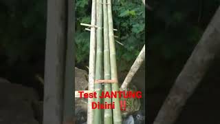 Jembatan Bambu Ambruk.... ‼️ #shorts #bambu #sungai