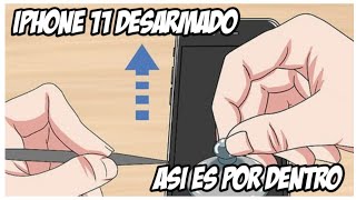 Desarmamos iPhone 11 Completamente Así es Por Dentro 😊🙏🏼