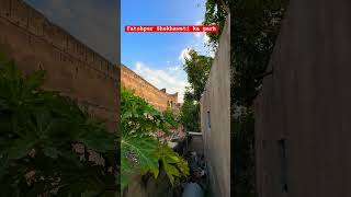 Fatehpur Shekhawati ka garh #fatehpurshekhawatifort #foryou #youtubeshorts #shortvideo #viral