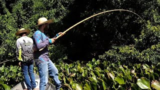 PESCARIA DE TRAÍRA COM VARA DE BAMBU , PESCARIA RAIZ/MELHOR ISCA PARA PEGAR TRAÍRA GIGANTE..