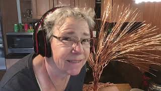 Artist of Only Trees (Part 10 Building the Crepe Myrtle wire Tree)