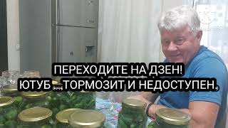 2480. ЗИМА всё СПРОСИТ! 🥒🌶️МУЖ маринует, а ЖЕНА пишет!☝️🤷‍♀️🤣