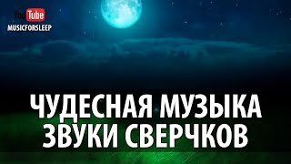 Чудесная Музыка Для Сна. Усыпляющие Звуки Сверчков