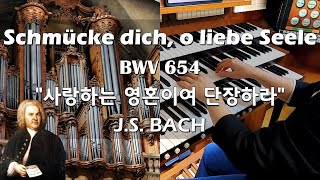 J.S.Bach-Schmücke dich, o liebe Seele, BWV654 사랑하는 영혼이여,단장하라 /Cavaillé-Coll Organ, Nancy(Hauptwerk)