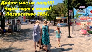 Дайте мне на лапу! Ну что вам стоит! ,Лазаревское 12.08.24.гундящий ролик!🌴ЛАЗАРЕВСКОЕ СЕГОДНЯ🌴СОЧИ.