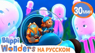 Что такое Океан? | Обучающие мультики для детей | Blippi Russian