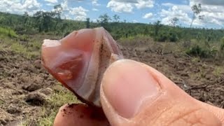 Finding carnelian agates crystal near moutaint