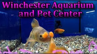 Winchester Aquarium & Pet Center in Winchester VA