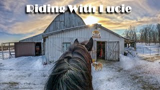 Virtual Horseback Riding With Lucie - Episode: Abby's Find - Special Guest Abby - #gopro #hero11