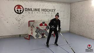 Hockey 101: The Art of Faking. Tips from Online Hockey Training.