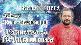 Медитация ЕДИНСТВО СО ВСЕВЫШНИМ |Исцеление, Очищение Кармы | Жива-Медитации. #5жм.Владимир Куровский