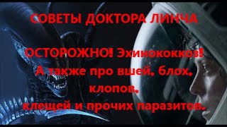 ЛЕКЦИЯ ДОКТОРА ЛИНЧА №9. Эпидемия эхинококкоза в Ульяновске-2019. Знакомство с паразитами.