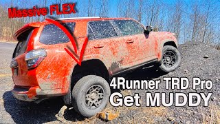 4Runner TRD Pro Goes Offroading! // Famous Reading Outdoors