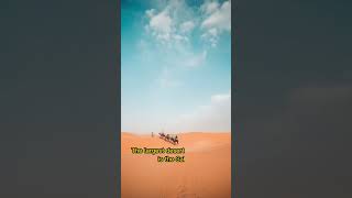 Sahara desert 🏜️🔥🐫🌡️ | Largest desert | #largestdesert #shorts #ytshorts #youtubeshorts