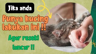 Jika anda punya kucing lakukan ini agar rezeki lancar‼️