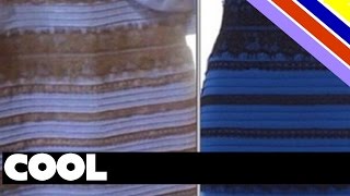 The science behind the white/gold black/blue dress!