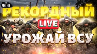 В эти минуты! Отлов "курского батальона". Для чего Украине Суджа? Рекордный урожай ВСУ / LIVE