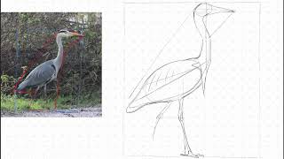 2024 01 23 How to draw a Heron using construction