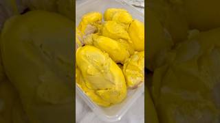 durian season #durian #durianindonesia #duriankasongan #kasongan