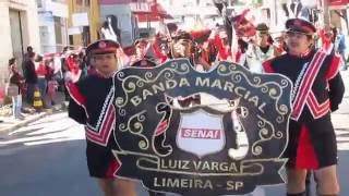 BANDA SENAI LIMEIRA LUIZ VARGA, DESFILE SANTO ANTONIO DE POSSE 2016, (COLD)