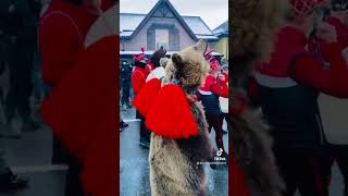 #amazing #viral #special #wow #fypシ #fun #bacau #dofteana #bears #traditii #romania #obiceiuri