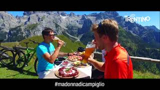 FC Bayern basketball in Trentino