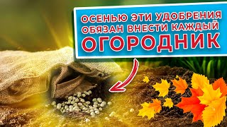 ЭТИ удобрения обязан внести каждый огородник осенью!