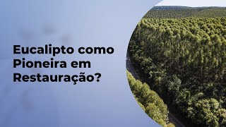 DÁ PRA USAR EUCALIPTO COMO PIONEIRA EM RESTAURAÇÃO?