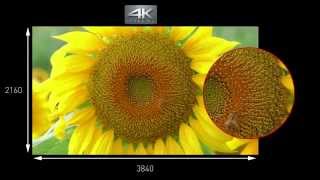 4K Ultra HD Camcorder HC-X1000 | Panasonic Produktvorstellung