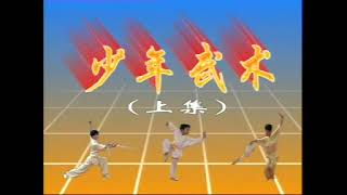 WUSHU BASIC TECHNIQUE