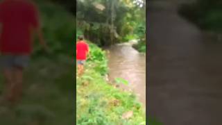 Mancing di Sungai Bersama Bocil #shorts #mancingdisungai #tasikmalaya #mencariikan