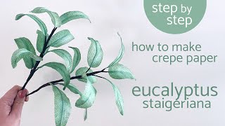 How To Make Crepe Paper Eucalyptus Staigeriana  | Paper Flower Tutorial