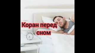 Слушать перед сном чтение корана