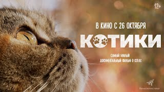 КОТИКИ (2023) - САМЫЙ ТРОГАТЕЛЬНЫЙ ФИЛЬМ О КОТАХ В ЭТОМ ГОДУ С 26 ОКТЯБРЯ.