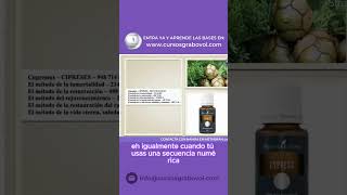 🪴el CIPRES para REJUVENECER ⎮SECUENCIA GRABOVOI